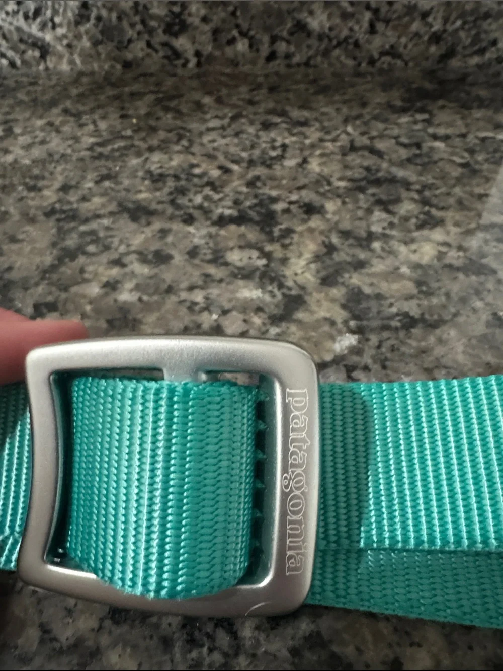 Patagonia Aqua Teal Webbing Belt with Silver Buckle